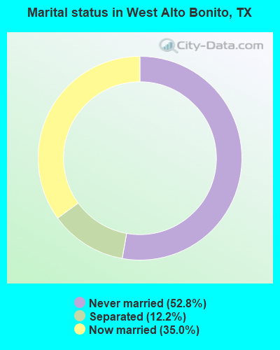Marital status in West Alto Bonito, TX