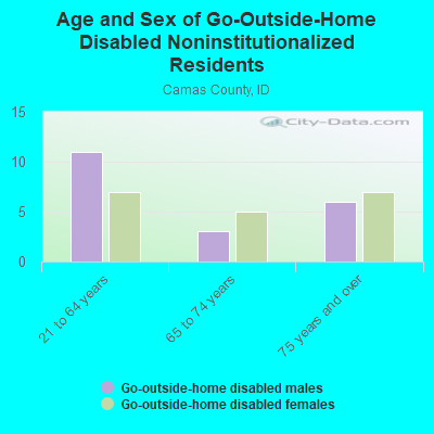 Age and Sex of Go-Outside-Home Disabled Noninstitutionalized Residents