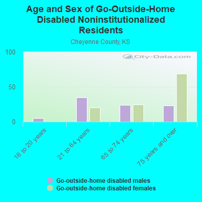 Age and Sex of Go-Outside-Home Disabled Noninstitutionalized Residents