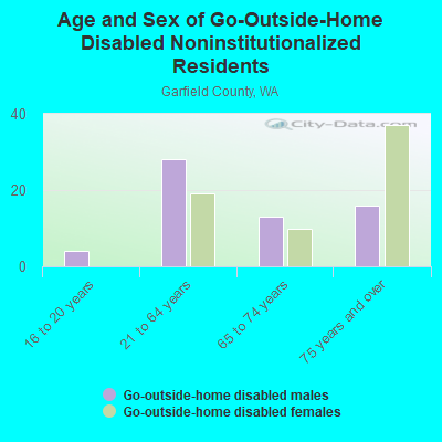 Age and Sex of Go-Outside-Home Disabled Noninstitutionalized Residents