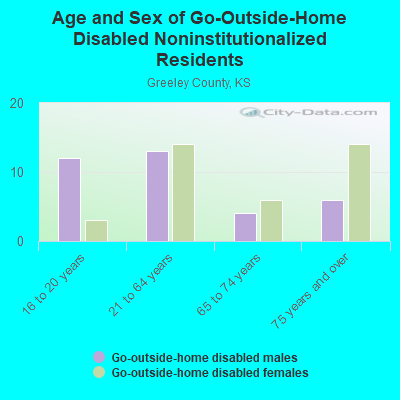 Age and Sex of Go-Outside-Home Disabled Noninstitutionalized Residents