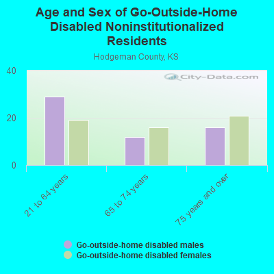 Age and Sex of Go-Outside-Home Disabled Noninstitutionalized Residents