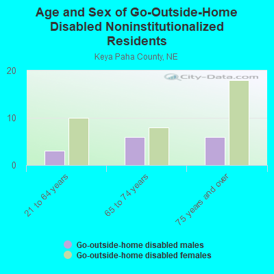 Age and Sex of Go-Outside-Home Disabled Noninstitutionalized Residents