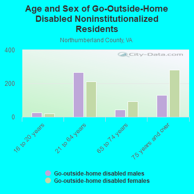 Age and Sex of Go-Outside-Home Disabled Noninstitutionalized Residents