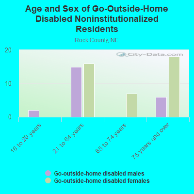 Age and Sex of Go-Outside-Home Disabled Noninstitutionalized Residents