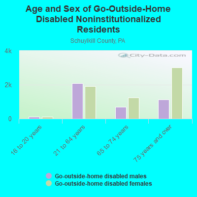 Age and Sex of Go-Outside-Home Disabled Noninstitutionalized Residents