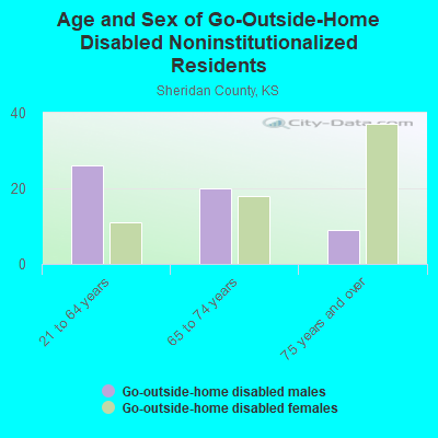 Age and Sex of Go-Outside-Home Disabled Noninstitutionalized Residents