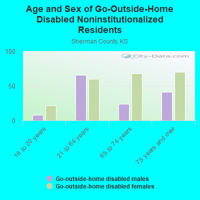 Age and Sex of Go-Outside-Home Disabled Noninstitutionalized Residents