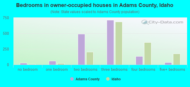 Bedrooms in owner-occupied houses in Adams County, Idaho