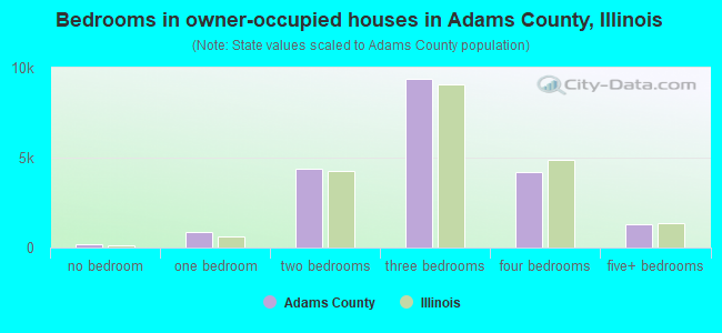 Bedrooms in owner-occupied houses in Adams County, Illinois