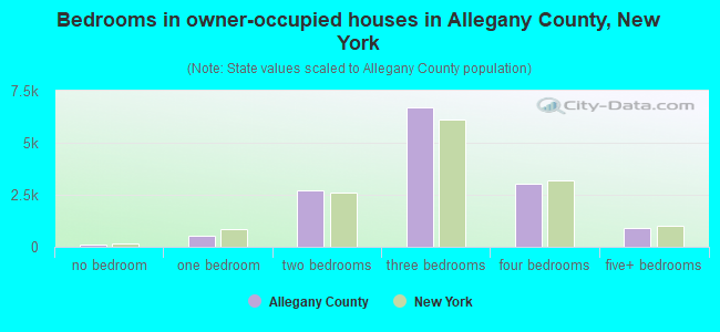 Bedrooms in owner-occupied houses in Allegany County, New York