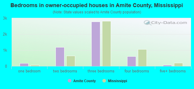 Bedrooms in owner-occupied houses in Amite County, Mississippi