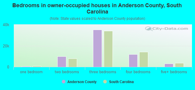 Bedrooms in owner-occupied houses in Anderson County, South Carolina