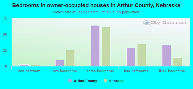 Bedrooms in owner-occupied houses in Arthur County, Nebraska