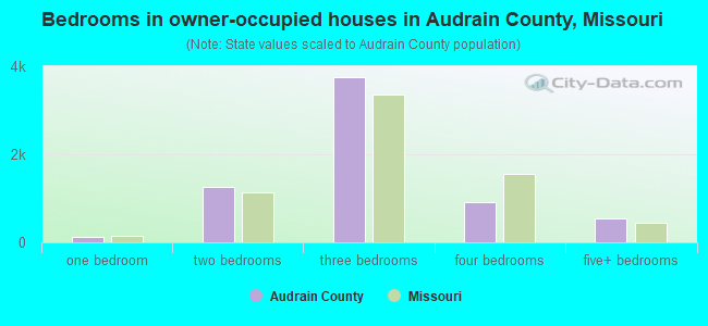 Bedrooms in owner-occupied houses in Audrain County, Missouri