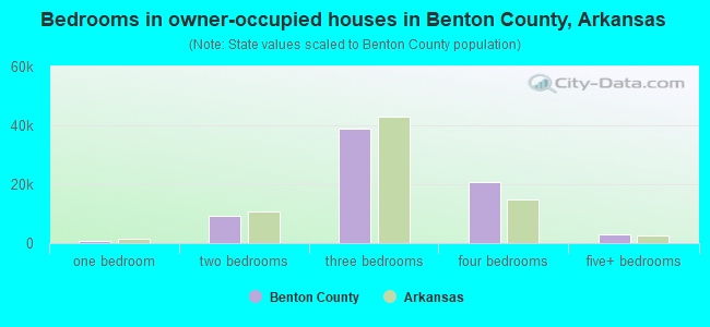 Bedrooms in owner-occupied houses in Benton County, Arkansas