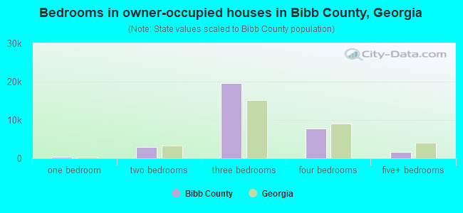 Bedrooms in owner-occupied houses in Bibb County, Georgia