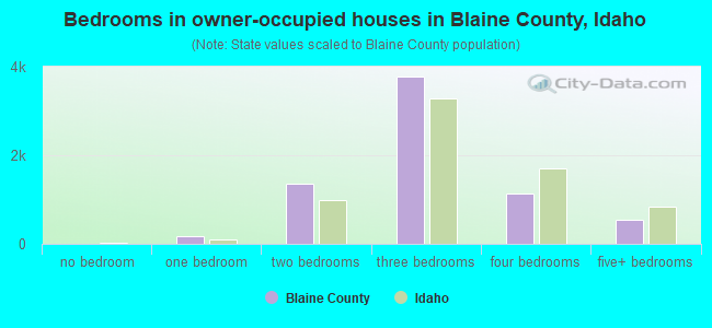 Bedrooms in owner-occupied houses in Blaine County, Idaho