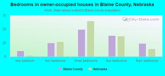 Bedrooms in owner-occupied houses in Blaine County, Nebraska