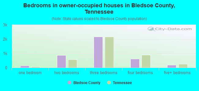 Bedrooms in owner-occupied houses in Bledsoe County, Tennessee