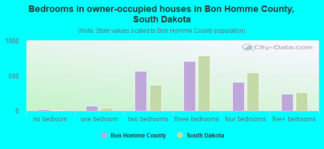 Bedrooms in owner-occupied houses in Bon Homme County, South Dakota