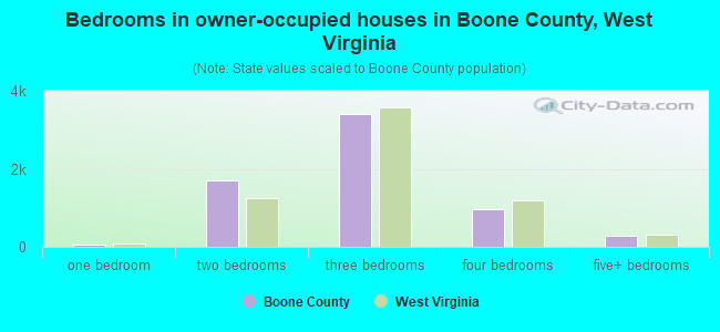 Bedrooms in owner-occupied houses in Boone County, West Virginia