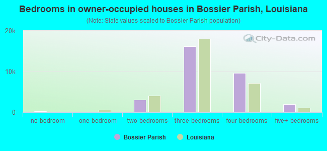 Bedrooms in owner-occupied houses in Bossier Parish, Louisiana
