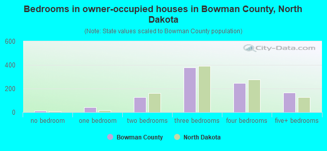 Bedrooms in owner-occupied houses in Bowman County, North Dakota