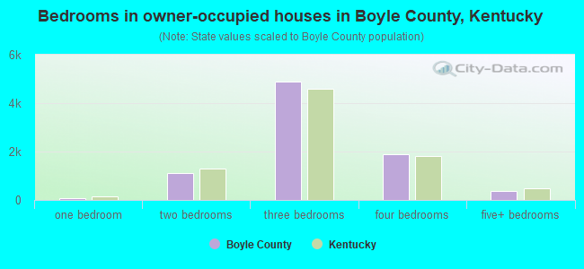 Bedrooms in owner-occupied houses in Boyle County, Kentucky