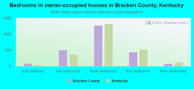 Bedrooms in owner-occupied houses in Bracken County, Kentucky