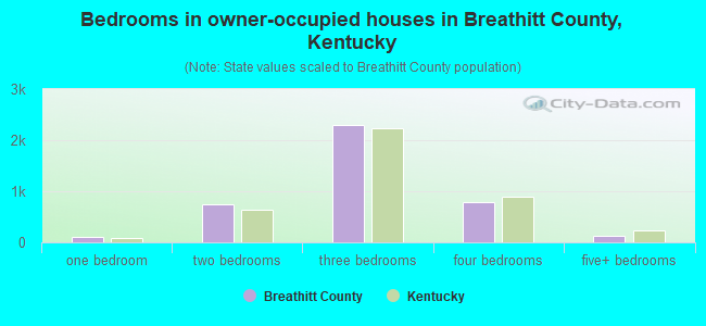 Bedrooms in owner-occupied houses in Breathitt County, Kentucky