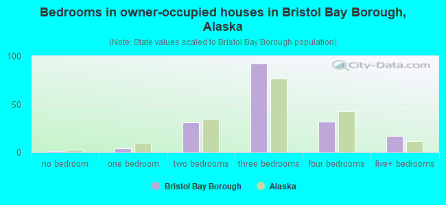 Bedrooms in owner-occupied houses in Bristol Bay Borough, Alaska