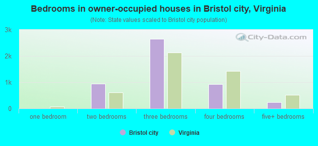 Bedrooms in owner-occupied houses in Bristol city, Virginia