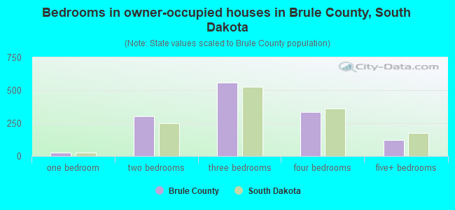 Bedrooms in owner-occupied houses in Brule County, South Dakota