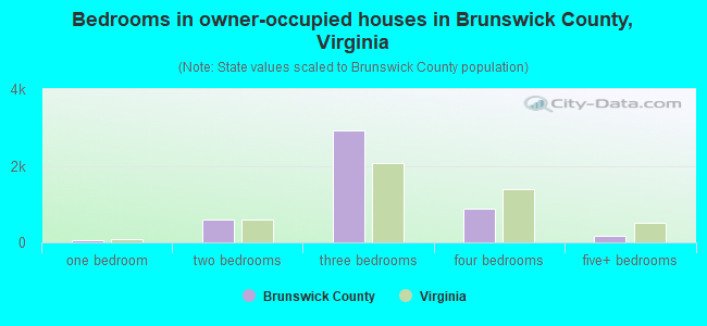 Bedrooms in owner-occupied houses in Brunswick County, Virginia