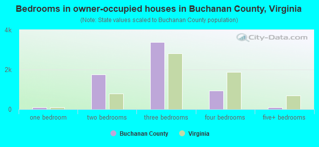 Bedrooms in owner-occupied houses in Buchanan County, Virginia
