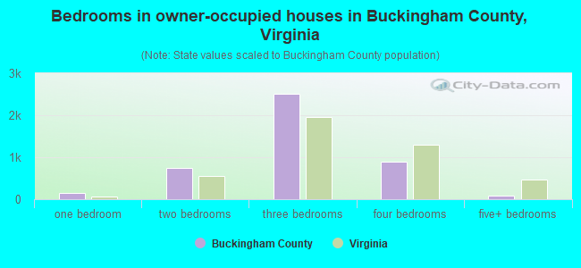 Bedrooms in owner-occupied houses in Buckingham County, Virginia