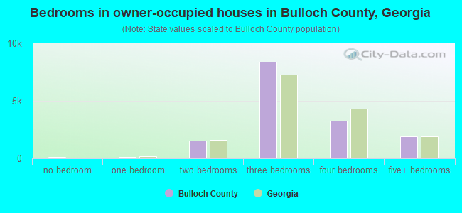 Bedrooms in owner-occupied houses in Bulloch County, Georgia
