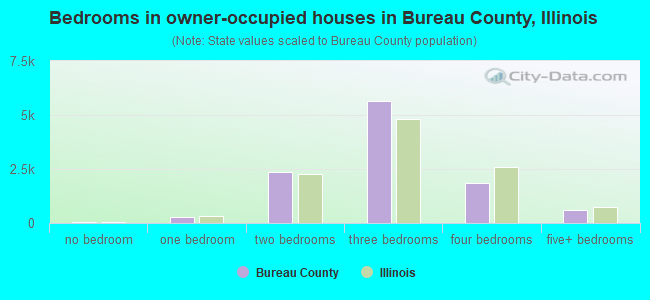 Bedrooms in owner-occupied houses in Bureau County, Illinois