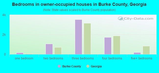 Bedrooms in owner-occupied houses in Burke County, Georgia