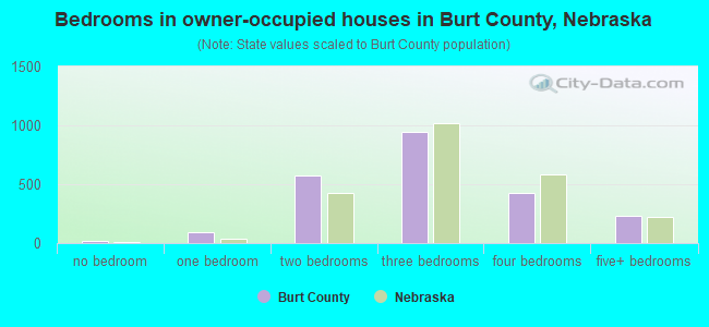 Bedrooms in owner-occupied houses in Burt County, Nebraska