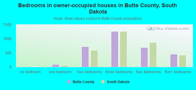 Bedrooms in owner-occupied houses in Butte County, South Dakota