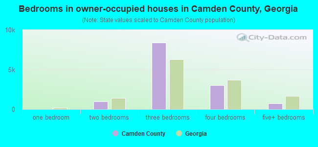 Bedrooms in owner-occupied houses in Camden County, Georgia