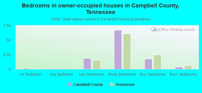 Bedrooms in owner-occupied houses in Campbell County, Tennessee