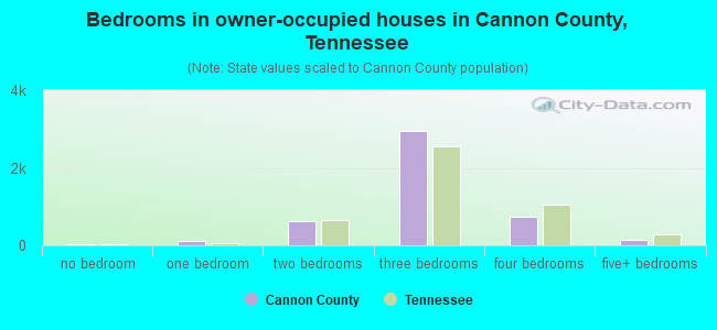 Bedrooms in owner-occupied houses in Cannon County, Tennessee