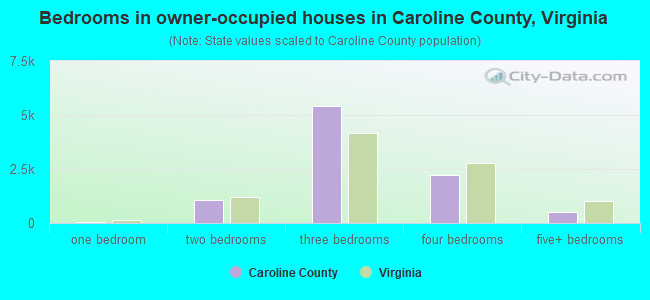 Bedrooms in owner-occupied houses in Caroline County, Virginia