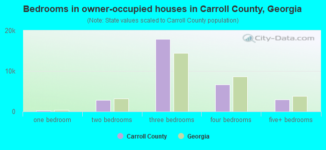 Bedrooms in owner-occupied houses in Carroll County, Georgia