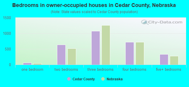 Bedrooms in owner-occupied houses in Cedar County, Nebraska
