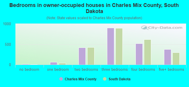 Bedrooms in owner-occupied houses in Charles Mix County, South Dakota