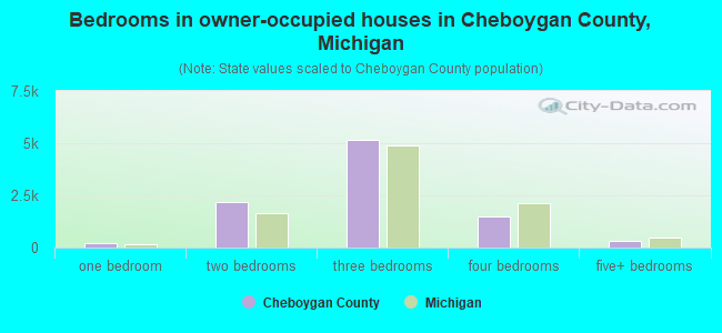 Bedrooms in owner-occupied houses in Cheboygan County, Michigan